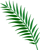 palm-leaf-1