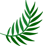 palm-leaf-2