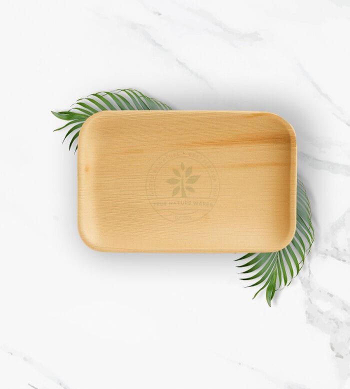 10" Rectangle Plate