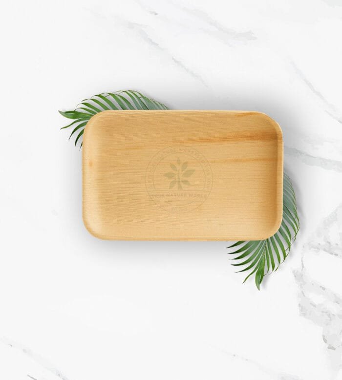 9" Rectangle Plate