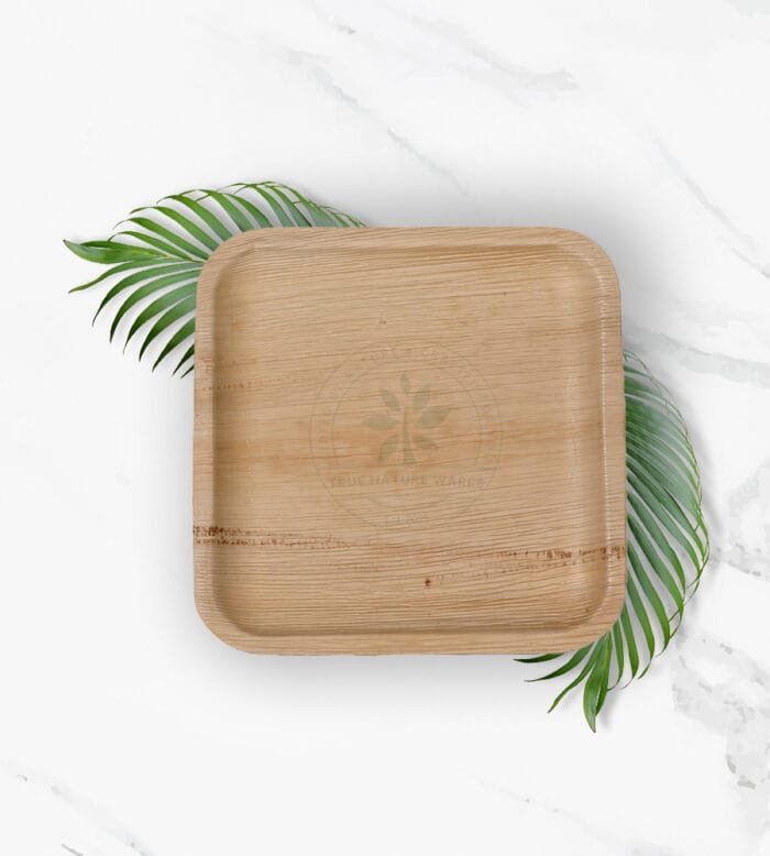 9" Square Plate