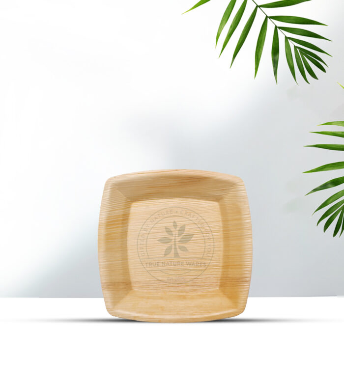 6" Square Snack Plate