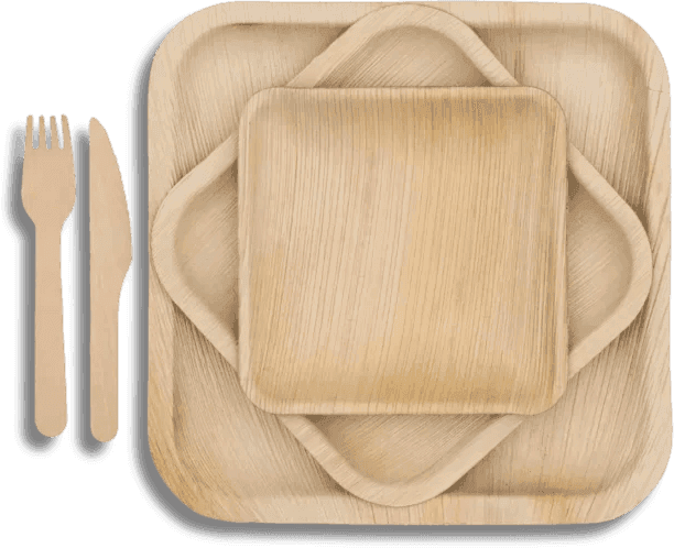 Areca Palm Leaf Plates by True Nature Wares Singapore